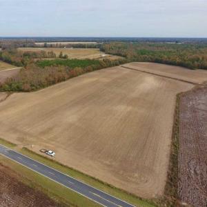 Photo of UNDER CONTRACT!!  90.1 Acres of Farm and Timber Land For Sale in Craven County NC!