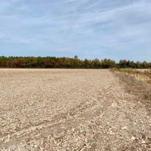 Photo of UNDER CONTRACT!!  90.1 Acres of Farm and Timber Land For Sale in Craven County NC!