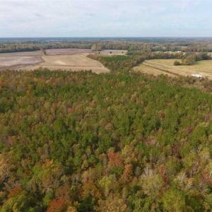 Photo of UNDER CONTRACT!!  90.1 Acres of Farm and Timber Land For Sale in Craven County NC!