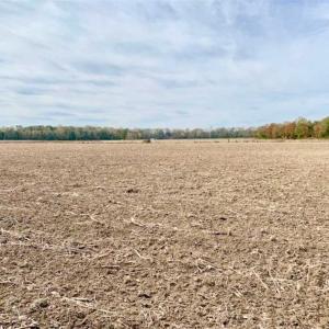 Photo of UNDER CONTRACT!!  90.1 Acres of Farm and Timber Land For Sale in Craven County NC!