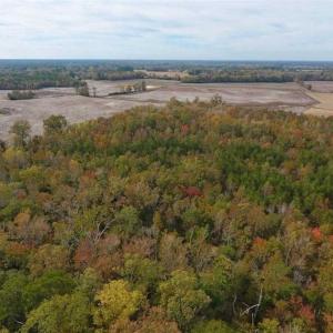 Photo of UNDER CONTRACT!!  90.1 Acres of Farm and Timber Land For Sale in Craven County NC!