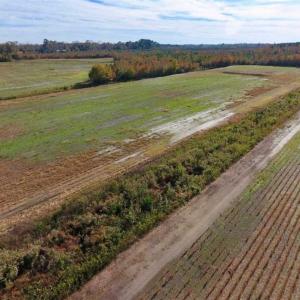 Photo of SOLD!!  20.68 Acres of Farm and Hunting Land For Sale in Craven County NC!