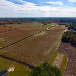 Photo of SOLD!!  20.68 Acres of Farm and Hunting Land For Sale in Craven County NC!