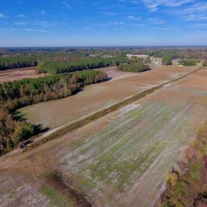 Photo of SOLD!!  20.68 Acres of Farm and Hunting Land For Sale in Craven County NC!