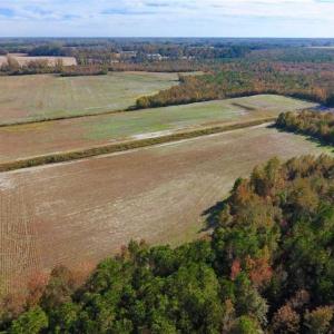 Photo of SOLD!!  20.68 Acres of Farm and Hunting Land For Sale in Craven County NC!