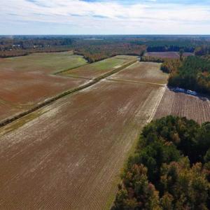Photo of SOLD!!  20.68 Acres of Farm and Hunting Land For Sale in Craven County NC!