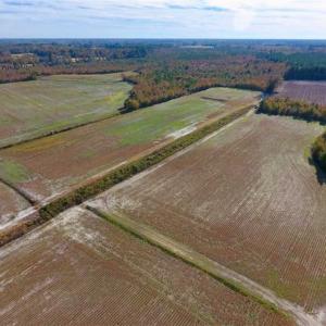 Photo of SOLD!!  20.68 Acres of Farm and Hunting Land For Sale in Craven County NC!