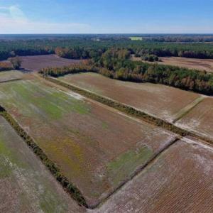 Photo of SOLD!!  20.68 Acres of Farm and Hunting Land For Sale in Craven County NC!