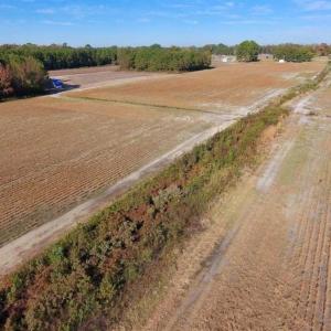 Photo of SOLD!!  20.68 Acres of Farm and Hunting Land For Sale in Craven County NC!