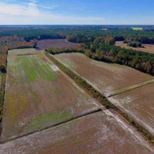 Photo of SOLD!!  20.68 Acres of Farm and Hunting Land For Sale in Craven County NC!