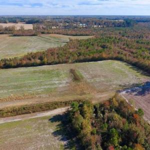 Photo of SOLD!!  20.68 Acres of Farm and Hunting Land For Sale in Craven County NC!