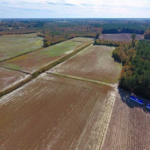 Photo of SOLD!!  20.68 Acres of Farm and Hunting Land For Sale in Craven County NC!