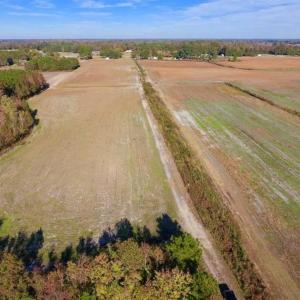 Photo of SOLD!!  20.68 Acres of Farm and Hunting Land For Sale in Craven County NC!