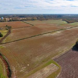 Photo of SOLD!!  20.68 Acres of Farm and Hunting Land For Sale in Craven County NC!