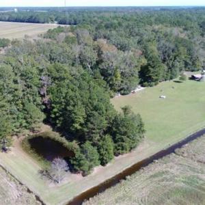Photo of SOLD!!  21.1 Acres Recreational Land with Home For Sale in Pamlico County NC!