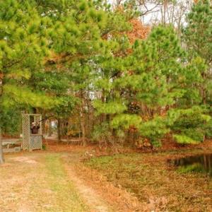 Photo of SOLD!!  21.1 Acres Recreational Land with Home For Sale in Pamlico County NC!