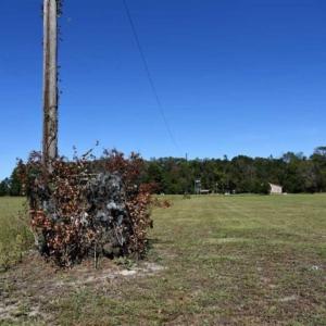 Photo of SOLD!!  21.1 Acres Recreational Land with Home For Sale in Pamlico County NC!