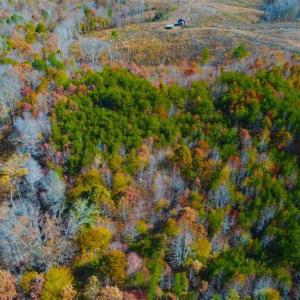 Photo of SOLD!!  10.8 Acres of Timber and Hunting Land For Sale in Caswell County NC!