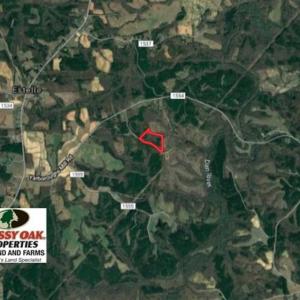 Photo of SOLD!!  10.8 Acres of Timber and Hunting Land For Sale in Caswell County NC!