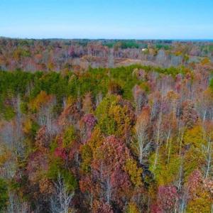Photo of SOLD!!  10.8 Acres of Timber and Hunting Land For Sale in Caswell County NC!