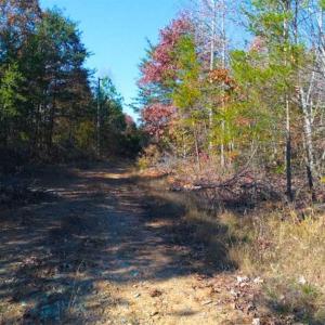 Photo of SOLD!!  10.8 Acres of Timber and Hunting Land For Sale in Caswell County NC!
