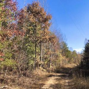 Photo of SOLD!!  10.8 Acres of Timber and Hunting Land For Sale in Caswell County NC!