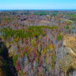Photo of SOLD!!  10.8 Acres of Timber and Hunting Land For Sale in Caswell County NC!