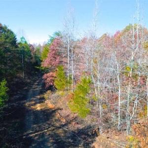 Photo of SOLD!!  10.8 Acres of Timber and Hunting Land For Sale in Caswell County NC!