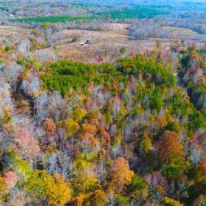 Photo of SOLD!!  10.8 Acres of Timber and Hunting Land For Sale in Caswell County NC!