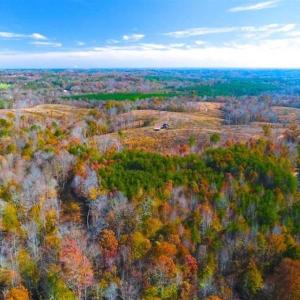Photo of SOLD!!  10.8 Acres of Timber and Hunting Land For Sale in Caswell County NC!