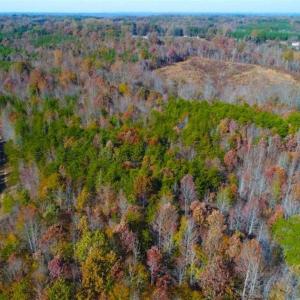 Photo of SOLD!!  10.8 Acres of Timber and Hunting Land For Sale in Caswell County NC!