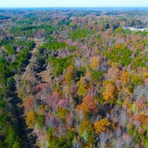 Photo of SOLD!!  10.8 Acres of Timber and Hunting Land For Sale in Caswell County NC!