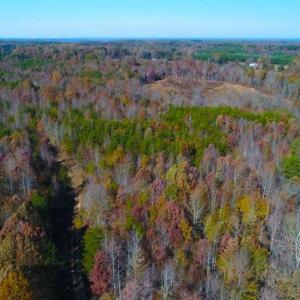 Photo of SOLD!!  10.8 Acres of Timber and Hunting Land For Sale in Caswell County NC!