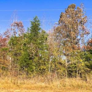 Photo of SOLD!!  10.8 Acres of Timber and Hunting Land For Sale in Caswell County NC!