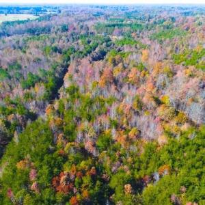 Photo of SOLD!!  10.8 Acres of Timber and Hunting Land For Sale in Caswell County NC!