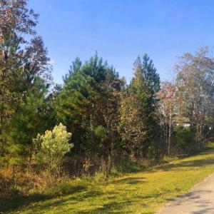 Photo of SOLD!!  0.87 Acre Residential Lot For Sale in Wake County NC!