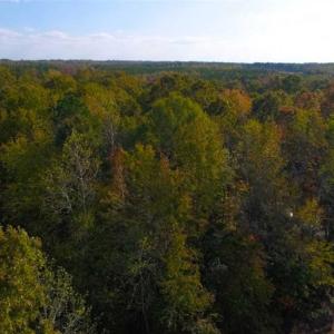 Photo of SOLD!! 1.55 Acre Residential Lot For Sale in Johnston County NC!