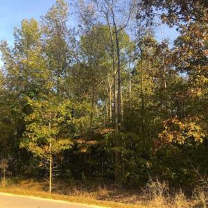 Photo of SOLD!! 1.55 Acre Residential Lot For Sale in Johnston County NC!