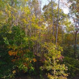 Photo of SOLD!! 1.55 Acre Residential Lot For Sale in Johnston County NC!