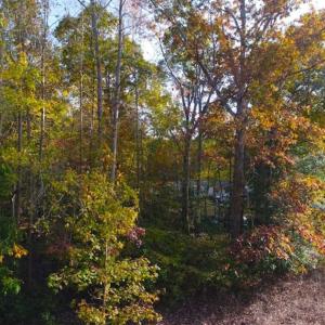 Photo of SOLD!! 1.55 Acre Residential Lot For Sale in Johnston County NC!