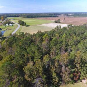 Photo of SOLD!!  59.27 Acres of Farm and Development Land for Sale in Columbus County NC!