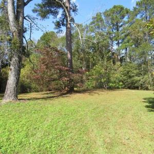 Photo of SOLD!!  59.27 Acres of Farm and Development Land for Sale in Columbus County NC!