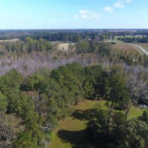 Photo of SOLD!!  59.27 Acres of Farm and Development Land for Sale in Columbus County NC!