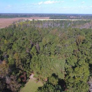 Photo of SOLD!!  59.27 Acres of Farm and Development Land for Sale in Columbus County NC!