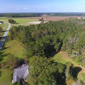 Photo of SOLD!!  59.27 Acres of Farm and Development Land for Sale in Columbus County NC!