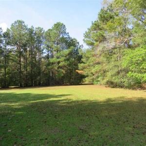 Photo of SOLD!!  59.27 Acres of Farm and Development Land for Sale in Columbus County NC!