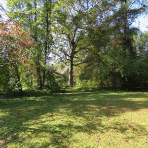 Photo of SOLD!!  59.27 Acres of Farm and Development Land for Sale in Columbus County NC!