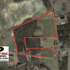 Photo of SOLD!!  59.27 Acres of Farm and Development Land for Sale in Columbus County NC!