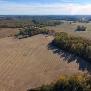 Photo of SOLD!!  23.81 Acres of Farm Land For Sale in Craven County NC!