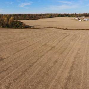 Photo of SOLD!!  23.81 Acres of Farm Land For Sale in Craven County NC!